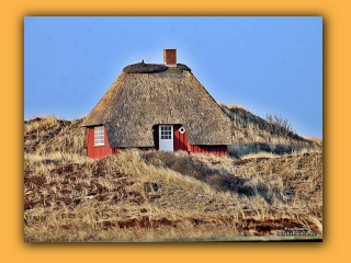 Ringkoebing Fjord (2).jpg